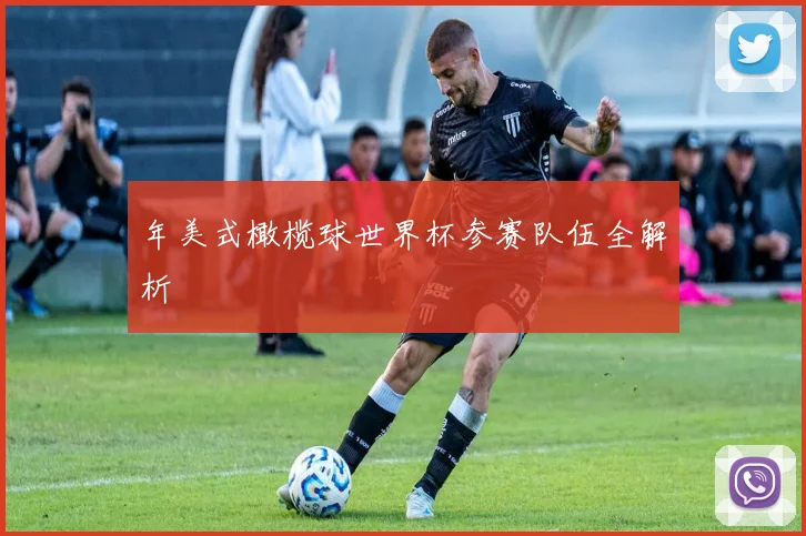 年美式橄榄球世界杯参赛队伍全解析