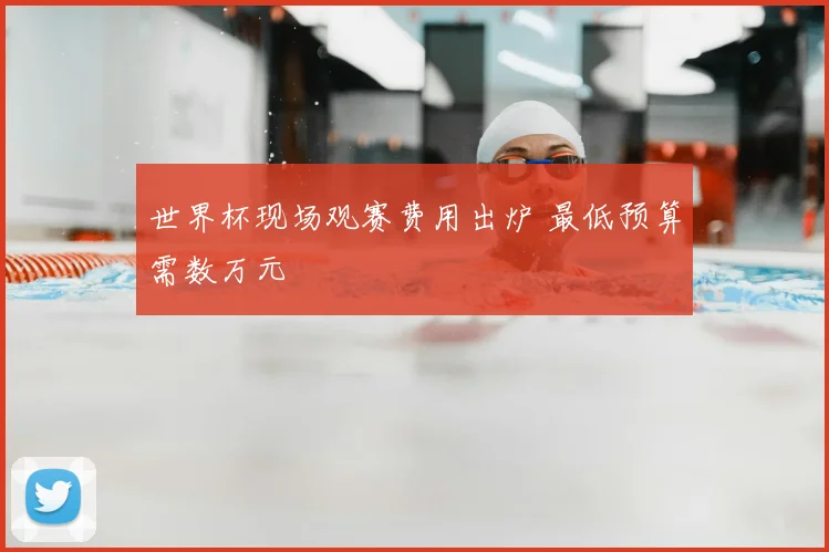 世界杯现场观赛费用出炉 最低预算需数万元