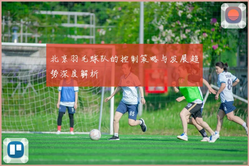 北京羽毛球队的控制策略与发展趋势深度解析