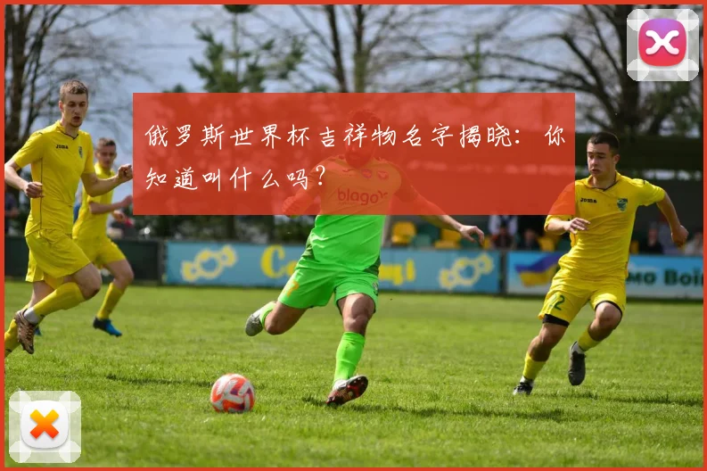 俄罗斯世界杯吉祥物名字揭晓：你知道叫什么吗？