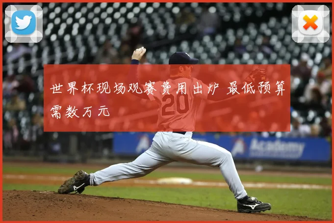 世界杯现场观赛费用出炉 最低预算需数万元
