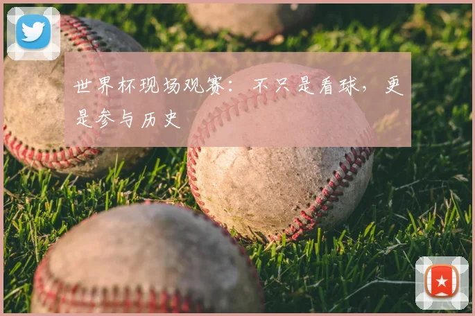世界杯现场观赛：不只是看球，更是参与历史