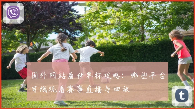 国外网站看世界杯攻略：哪些平台可线观看赛事直播与回放
