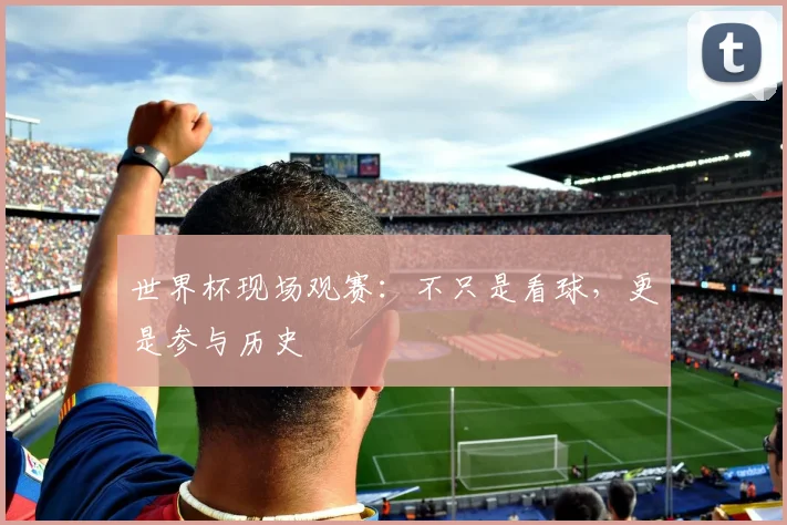 世界杯现场观赛：不只是看球，更是参与历史