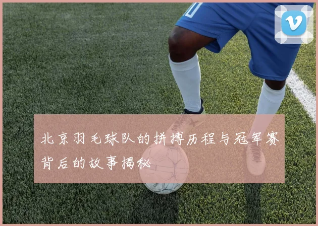 北京羽毛球队的拼搏历程与冠军赛背后的故事揭秘