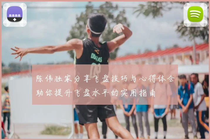 陈伟独家分享飞盘技巧与心得体会助你提升飞盘水平的实用指南